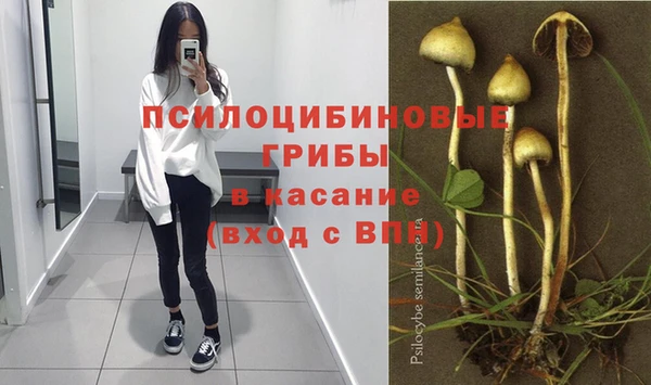 экстази Медвежьегорск